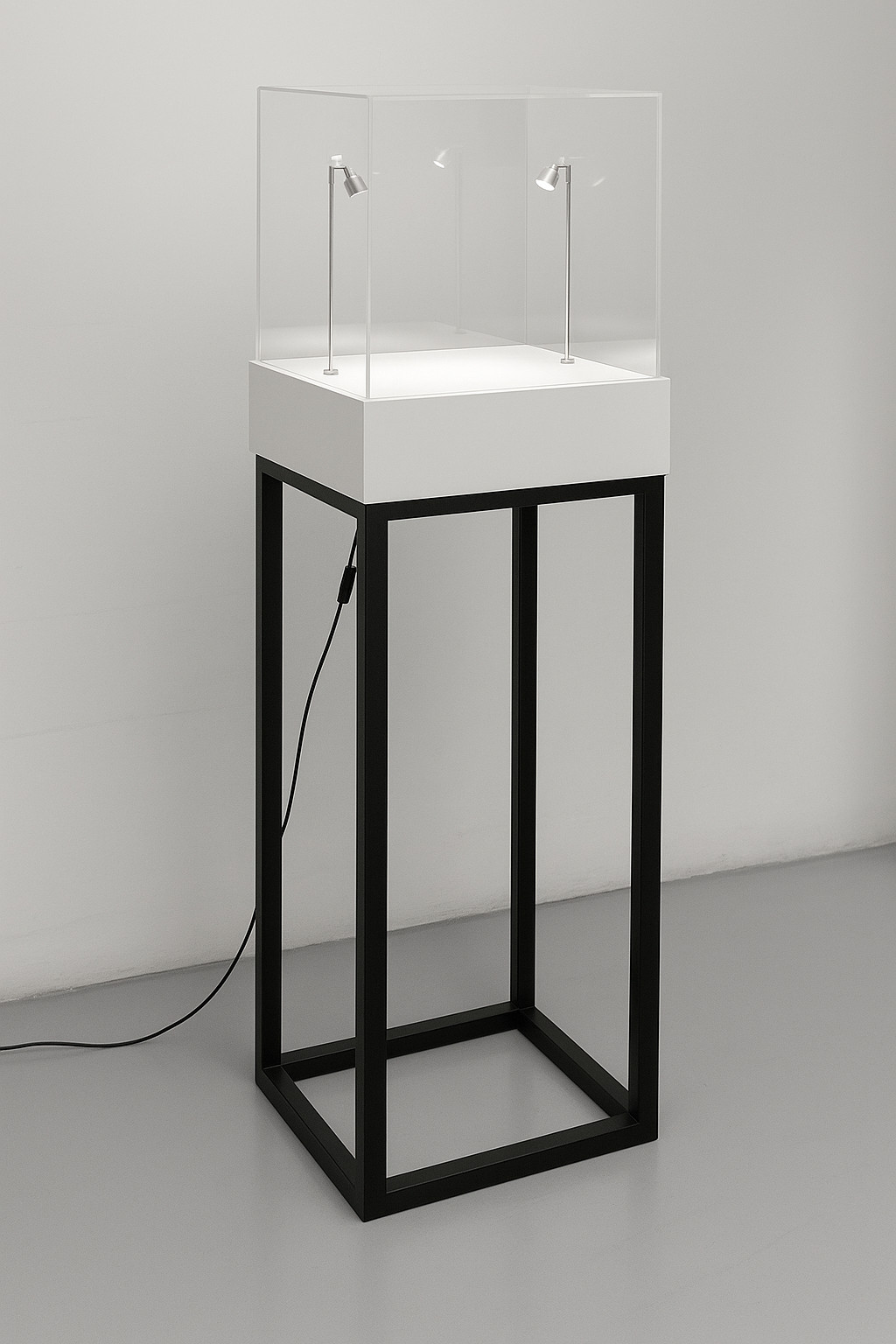 struttura in metallo con teca in plexiglass